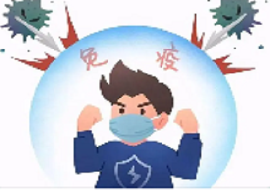 图片12.png